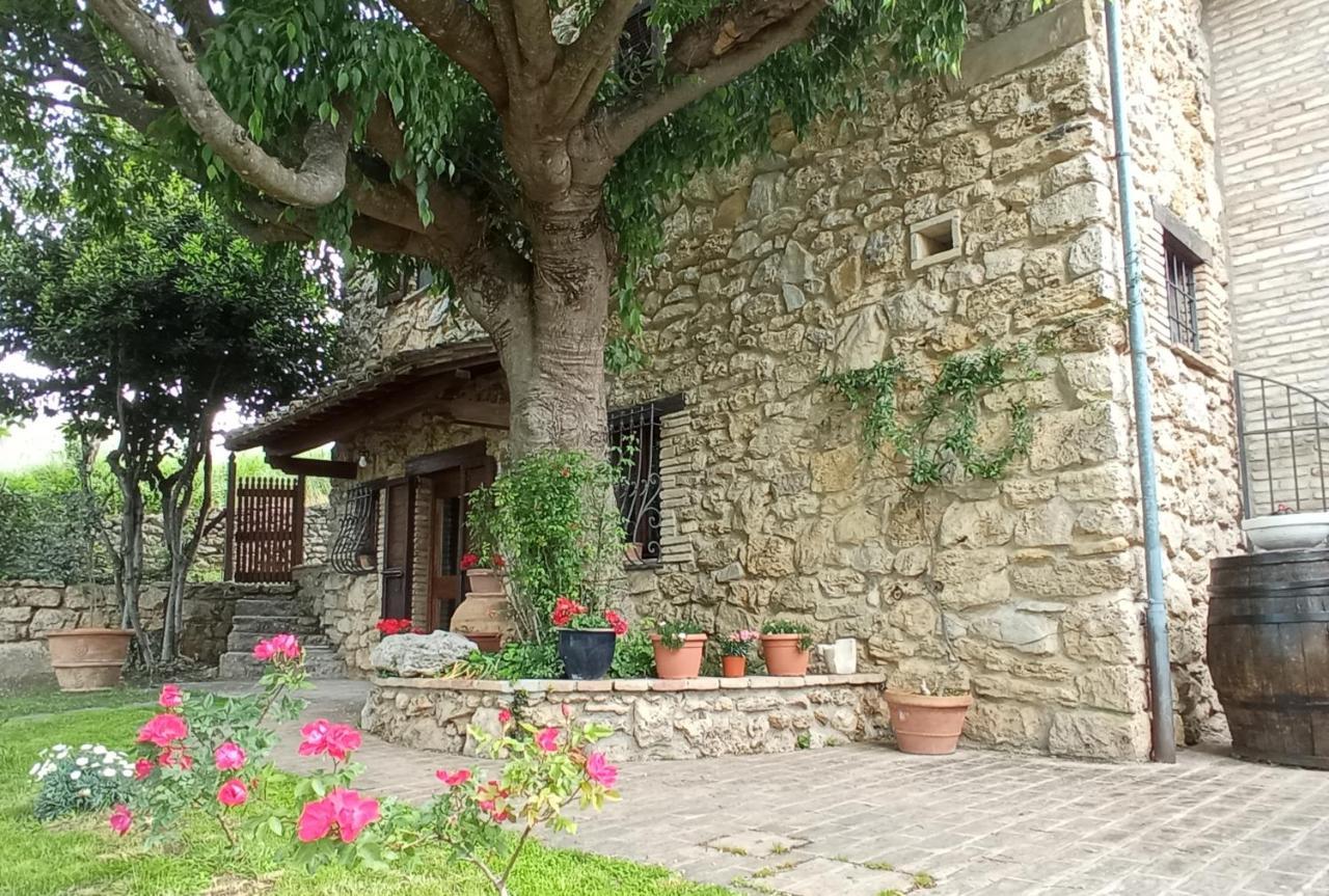 All'Ombra Di San Damiano Ассізі Екстер'єр фото