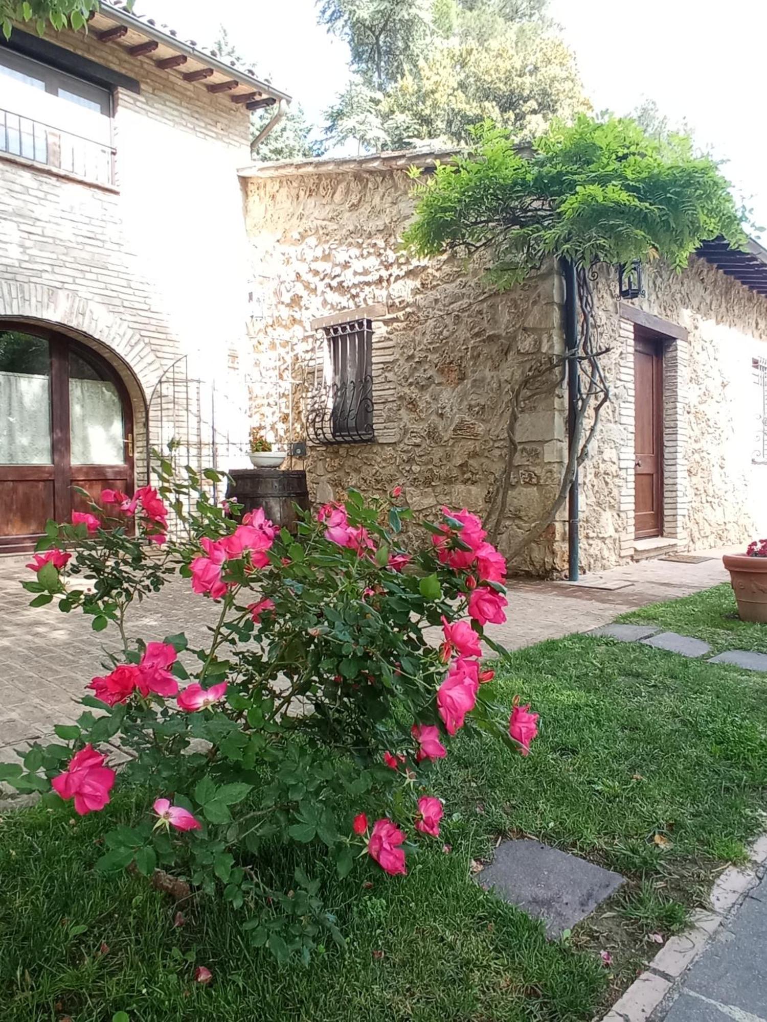 All'Ombra Di San Damiano Ассізі Екстер'єр фото