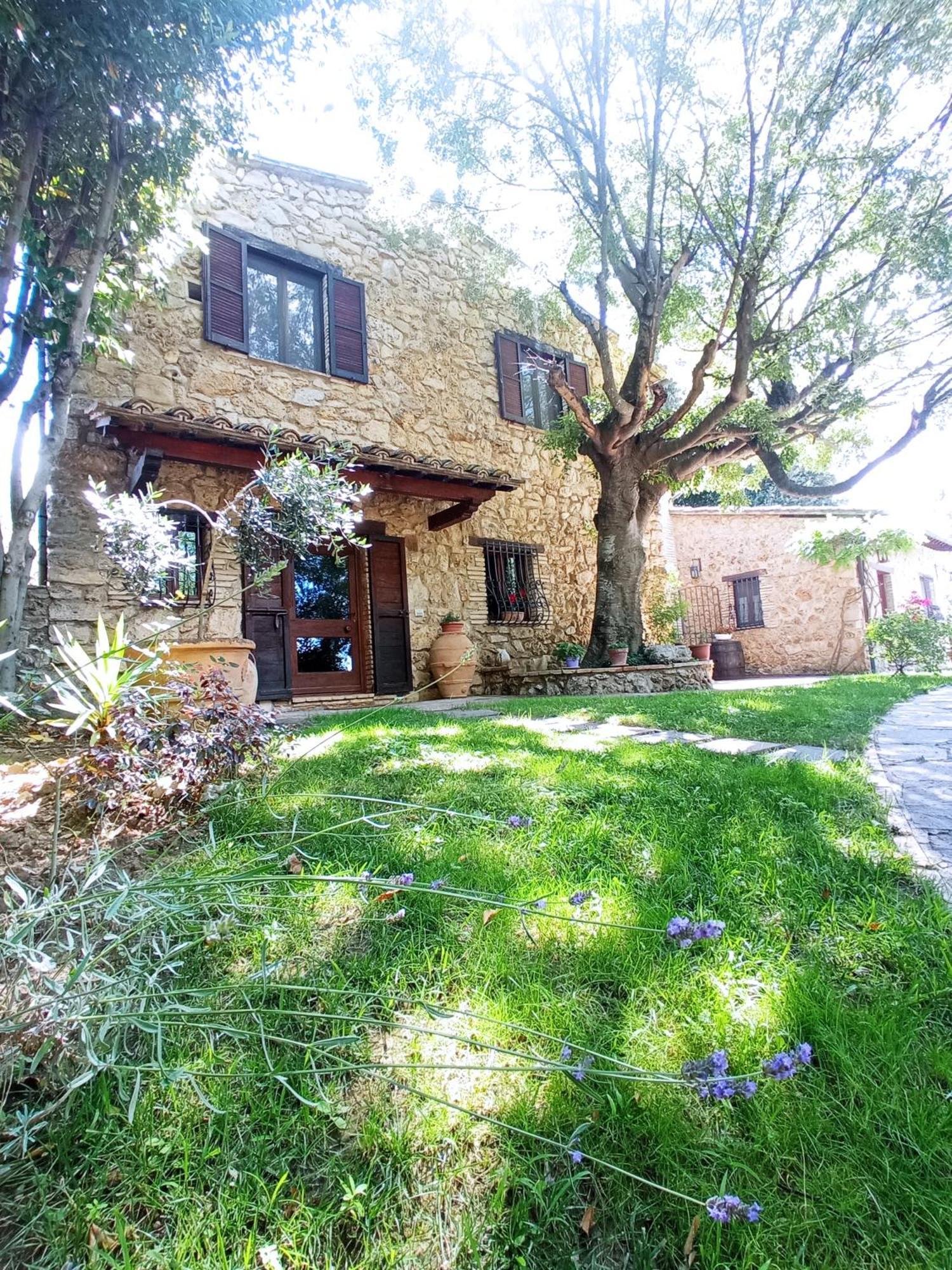 All'Ombra Di San Damiano Ассізі Екстер'єр фото