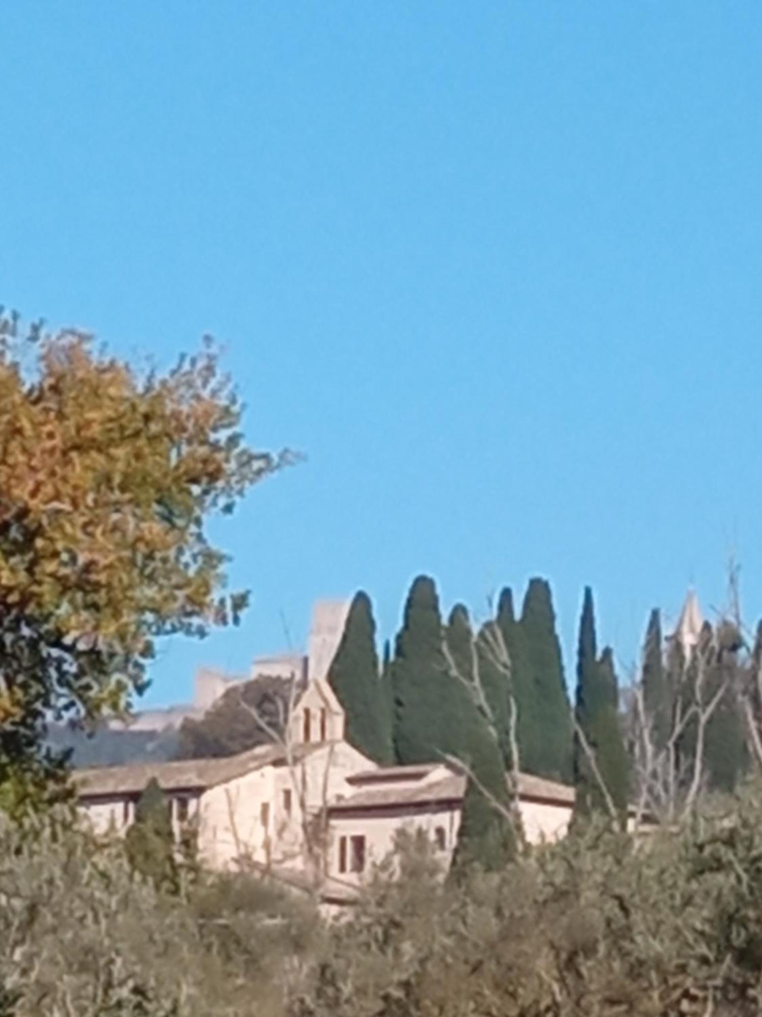 All'Ombra Di San Damiano Ассізі Екстер'єр фото