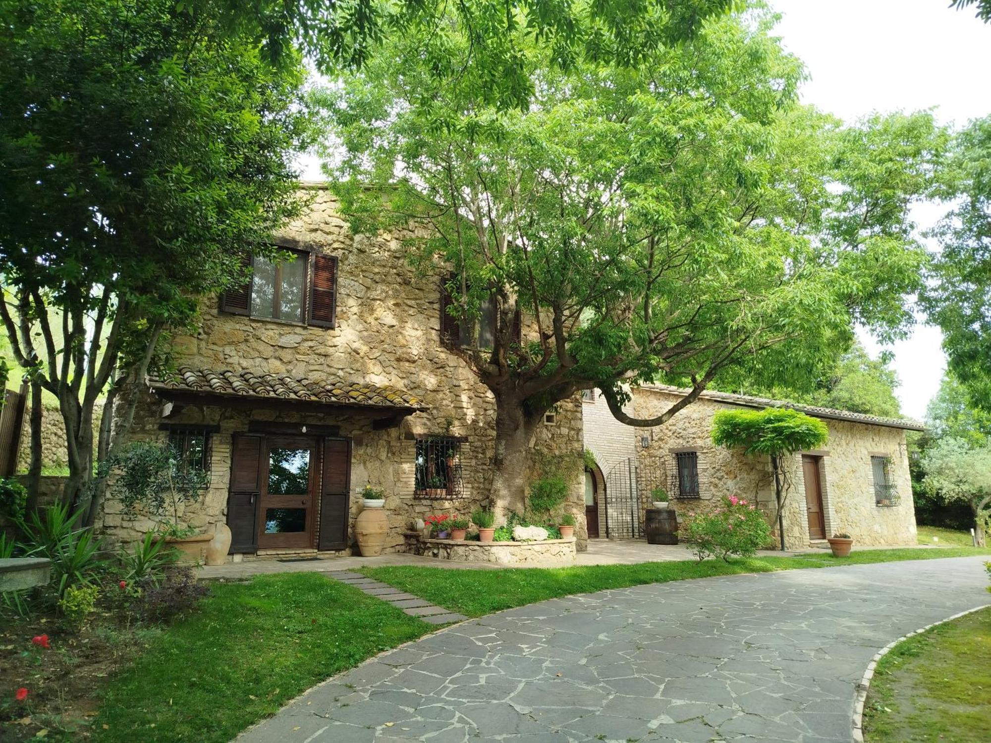 All'Ombra Di San Damiano Ассізі Екстер'єр фото
