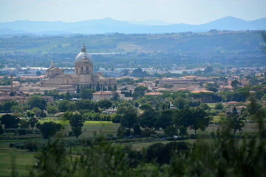 All'Ombra Di San Damiano Ассізі Екстер'єр фото